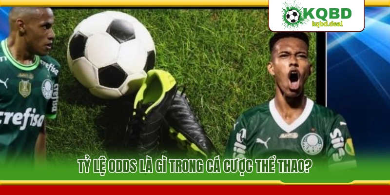 Giải mã định nghĩa tỷ lệ odds trong các sảnh cược thể thao 